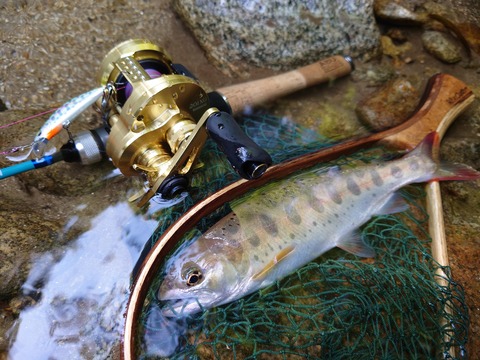 インプレ記事】コンクエスト201XGで渓流ベイトフィネスが出来るかやっ