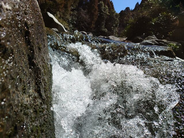 第3期 渓流釣り解禁 Season３がスタートしました ルアーフィッシングジャーナル