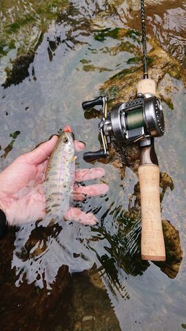 トラウトワンNSのベイトモデル「B47L」を使ってみたインプレ : ルアー