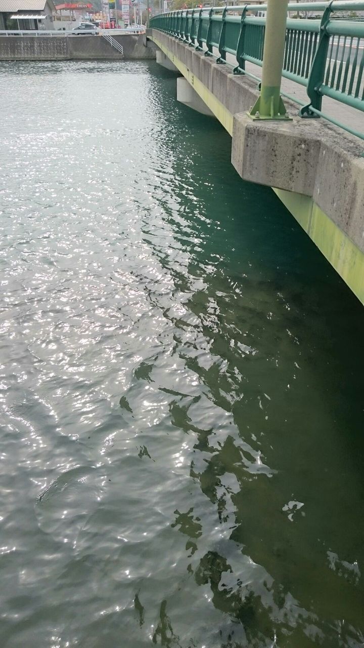 長崎県 川棚川シーバス チヌの釣りポイント 川棚港 ルアーフィッシングジャーナル 長崎県 川棚川シーバス チヌの釣りポイント 川棚港 ルアーフィッシングジャーナル