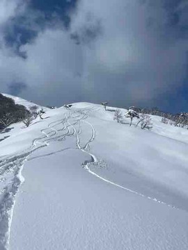 06279BC6-8C35-47D8-A5E7-C36E067DE9CA