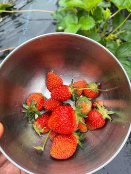 6ED111A1-ACD0-4EC8-9D4F-BDED7DEAFD14