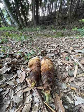 CABD189B-D038-45F6-9798-39B837DC2A14