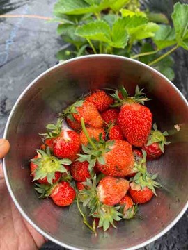 D8EC9ECE-D261-401C-BE38-C821E6474A26