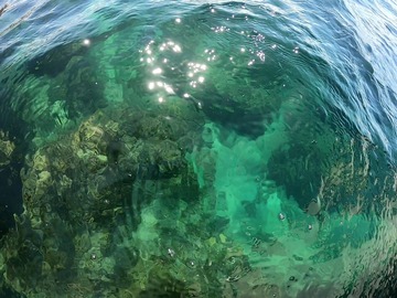 EE0E647B-7451-4D4C-9D04-EC74207AE2FA