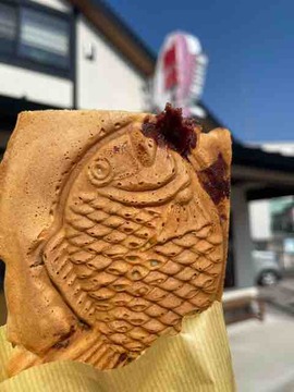 91D43050-B7A7-47BA-9D43-AB2FE2B48504