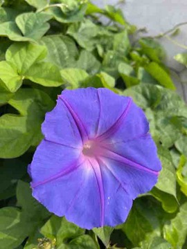 569DC6C3-A49E-420E-82A1-F7CC43FEFF9E