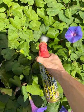 57A3F2A2-9BBF-402D-A71C-DA76C4834680