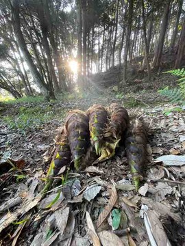 976A965E-1996-4BB8-9834-D44D37D51EBD