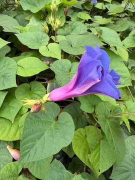 B0C852AD-8694-4110-B34B-FBE04F7F65A9