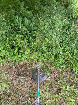 5C864AEC-46CA-4E17-AA97-ADDD8E37AB8B