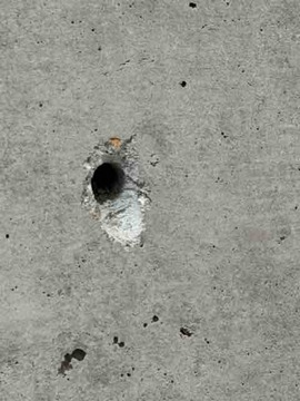 11FE6890-51ED-436E-A38C-4DF9BEE12390