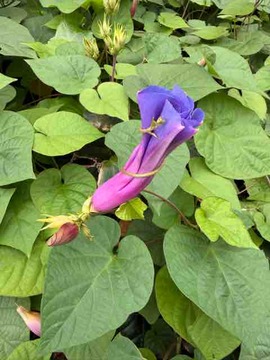 9B7FE2EF-723B-410B-A8A7-38AC128A7A09