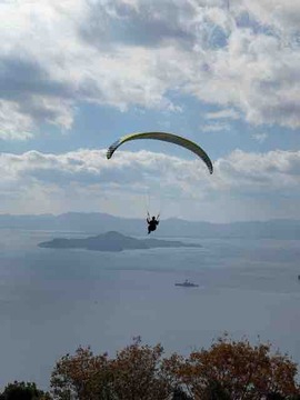 77DA6AE1-9C77-49B9-9D68-2E35D5686164