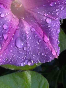 3EEECF6E-26C0-4D09-919A-FDE15F80A463