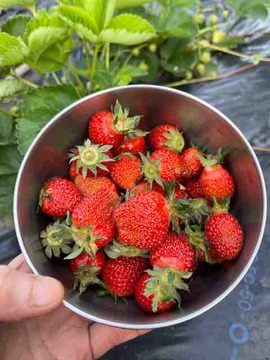 57C2B574-500A-4CF7-9B53-58B5347CA29B