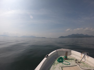 DFB5D983-3E44-4879-9AD5-F75172C52D5E