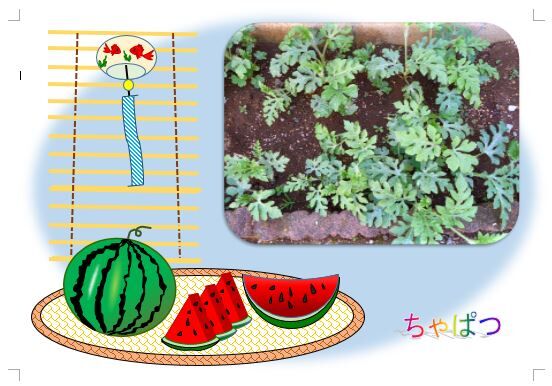 21 6 8 スイカの苗 ちゃぱつイラスト