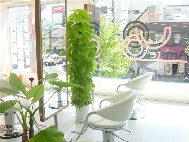 江戸川区平井 美容室 Artiste アルティスタ 美容院に行こう 関東美容室検索サイト