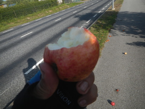 DSCN7358