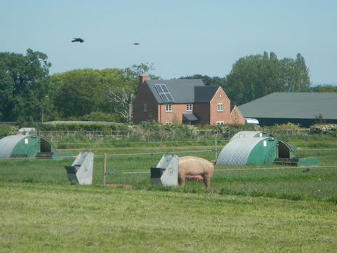 DSCN5069