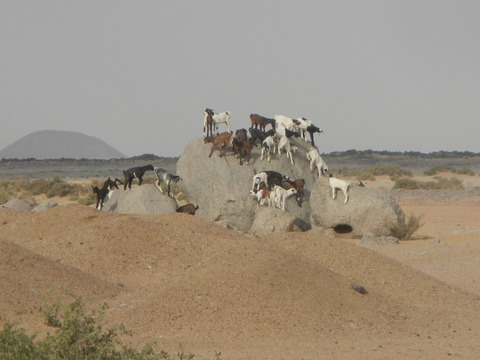 DSCN1246