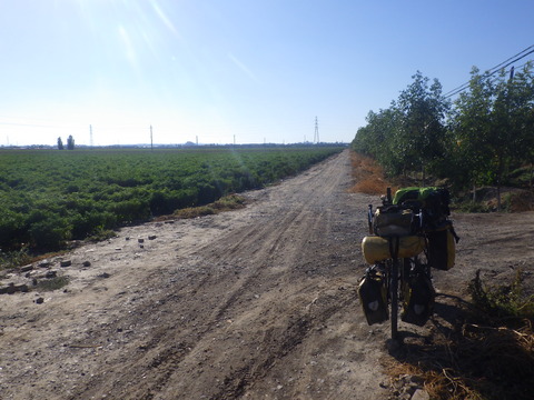 RIMG4412