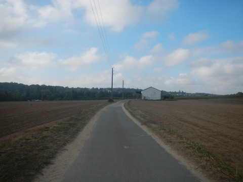 DSCN1893