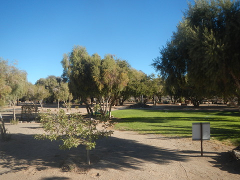 DSCN5563