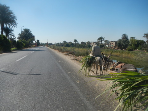 DSCN9712