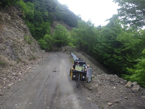 RIMG8515