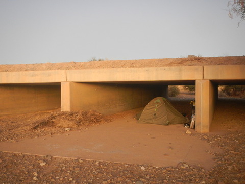 DSCN5417