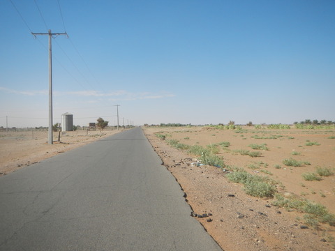 DSCN1333