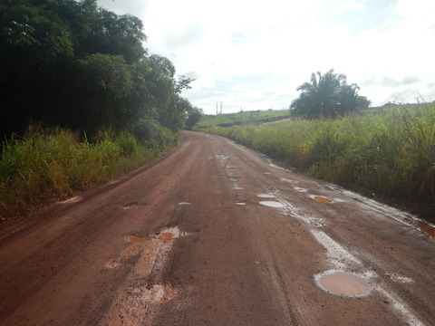 DSCN3605