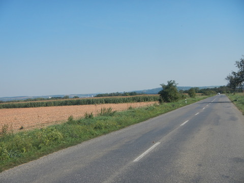 DSCN2083