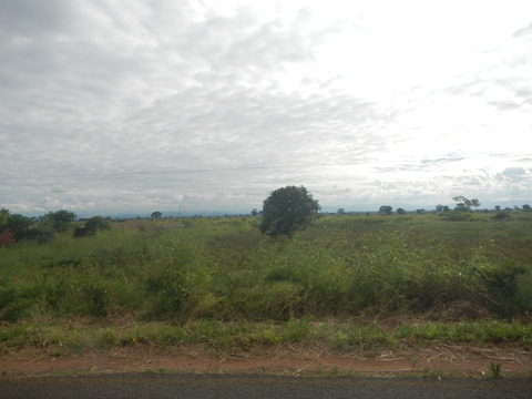DSCN3996