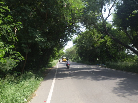 RIMG6459