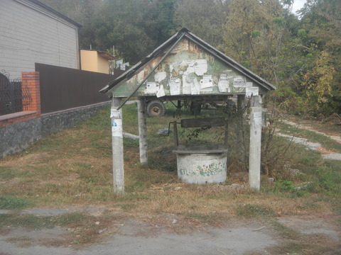 DSCN8009