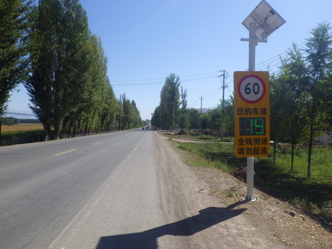 RIMG4250
