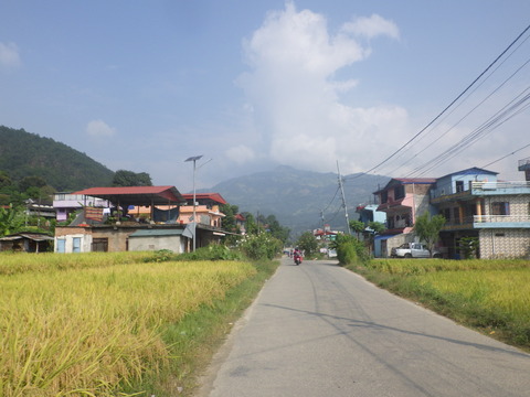 RIMG6939