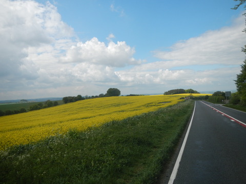 DSCN4684