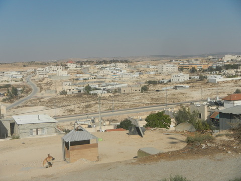 DSCN8964