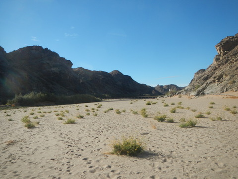DSCN5596