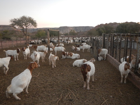 DSCN5361