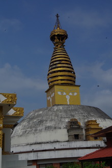 IMGP9769
