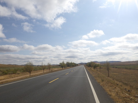 RIMG5538