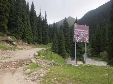 RIMG3385