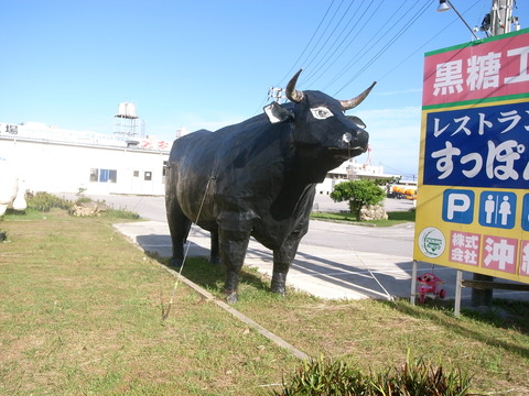 RIMG0044