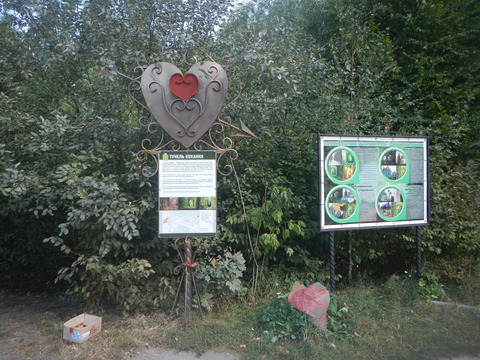 DSCN7792