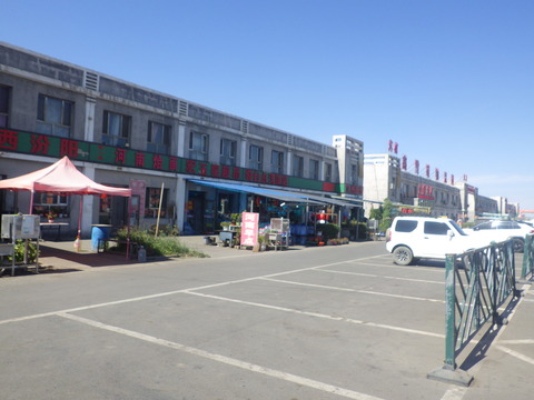 RIMG4553